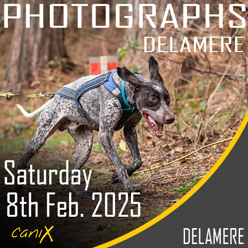 CaniX - Delamere - 8th Feb 2025