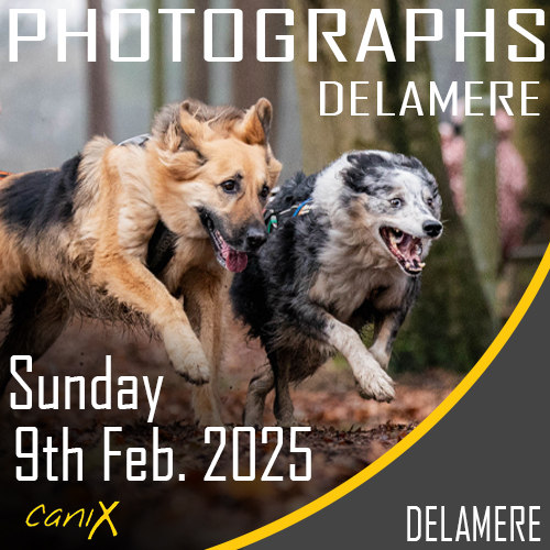 CaniX - Delamere - 9th Feb 2025