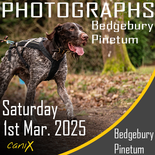 CaniX -Bedgebury Pinetum 1st March 2025