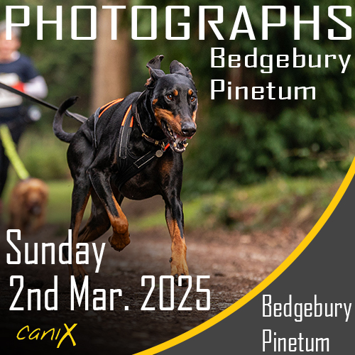 CaniX - Bedgebury Pinetum 2nd March 2025
